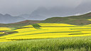 BUITEN BEELD Foto: 223231