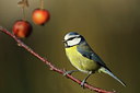 BUITEN BEELD Foto: 223250