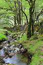 BUITEN BEELD Foto: 223256