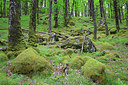 BUITEN BEELD Foto: 223261