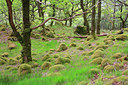 BUITEN BEELD Foto: 223263