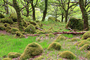 BUITEN BEELD Foto: 223264