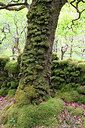 BUITEN BEELD Foto: 223266