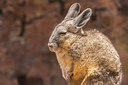 BUITEN BEELD Foto: 223357