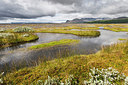 BUITEN BEELD Foto: 223372