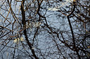 BUITEN BEELD Foto: 223391