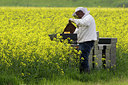 BUITEN BEELD Foto: 223408