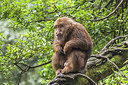 BUITEN BEELD Foto: 223449
