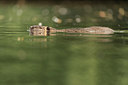 BUITEN BEELD Foto: 223501