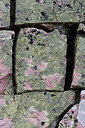 BUITEN BEELD Foto: 223612