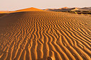 BUITEN BEELD Foto: 223661