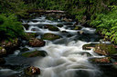 BUITEN BEELD Foto: 223678