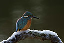 BUITEN BEELD Foto: 223761