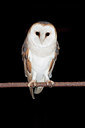 BUITEN BEELD Foto: 223871