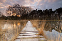 BUITEN BEELD Foto: 223878