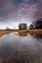 BUITEN BEELD Foto: 223908