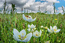 BUITEN BEELD Foto: 223922