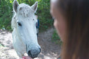 BUITEN BEELD Foto: 223927