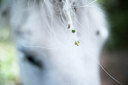 BUITEN BEELD Foto: 223985