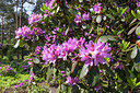 BUITEN BEELD Foto: 224182