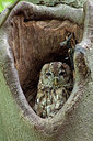 BUITEN BEELD Foto: 224240
