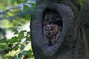 BUITEN BEELD Foto: 224280