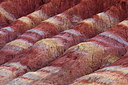 BUITEN BEELD Foto: 224341