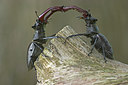 BUITEN BEELD Foto: 224493