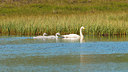 BUITEN BEELD Foto: 224506