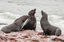 BUITEN BEELD Foto: 224574