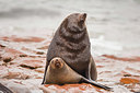 BUITEN BEELD Foto: 224576