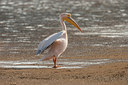 BUITEN BEELD Foto: 224583
