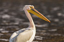 BUITEN BEELD Foto: 224584
