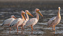 BUITEN BEELD Foto: 224586