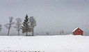 BUITEN BEELD Foto: 224665