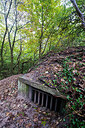 BUITEN BEELD Foto: 224739