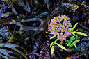 BUITEN BEELD Foto: 224744