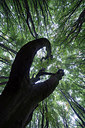 BUITEN BEELD Foto: 224753