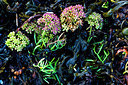 BUITEN BEELD Foto: 224790