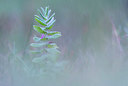 BUITEN BEELD Foto: 224794