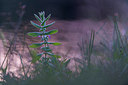BUITEN BEELD Foto: 224820