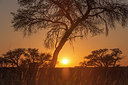 BUITEN BEELD Foto: 224922