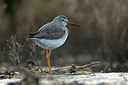BUITEN BEELD Foto: 224981