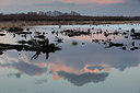BUITEN BEELD Foto: 225012