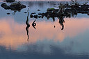 BUITEN BEELD Foto: 225014
