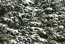 BUITEN BEELD Foto: 225021