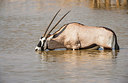 BUITEN BEELD Foto: 225073