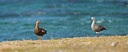 BUITEN BEELD Foto: 225110