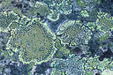 BUITEN BEELD Foto: 225118