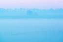 BUITEN BEELD Foto: 225314